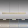 PAUL NEUHAUS LED závěsné svítidlo PURE-E-MOTION matná mosaz elektricky nastavitelná výška 2700-5000K PN 2570-60