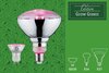 PAULMANN LED Grow Green lampa pro rostliny R80 E27 6,5 W 287.33