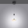 PAUL NEUHAUS LED závěsné svítidlo 1 ramenné kruhové, černá, stmívatelné, nastavitelná výška SimplyDim 3000K