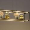 PAUL NEUHAUS LED závěsné svítidlo, černá, 4-ramenné, dimmer, do interiéru 3000K
