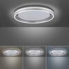 PAUL NEUHAUS Q-VITO, LED stropní svítidlo, Smart Home, průměr 59cm ZigBee 2700-5000K PN 8416-55