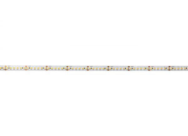 Light Impressions Deko-Light flexibilní LED pásek 3528-180-24V-3000K-5m 24V DC 75,00 W 3000 K 4850 lm 5000 mm 840179