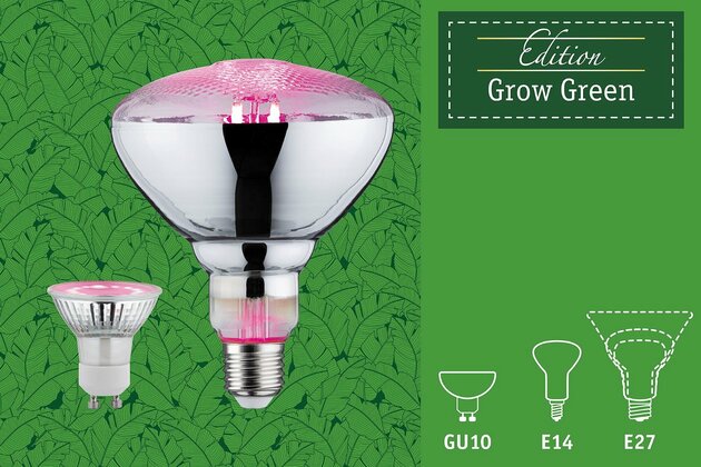 PAULMANN LED Grow Green lampa pro rostliny R80 E27 6,5 W 287.33
