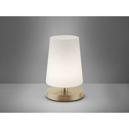 PAUL NEUHAUS LED stolní lampa v matné mosazi s decentním podlouhlým stínítkem na lampu 3000K PN 4146-60